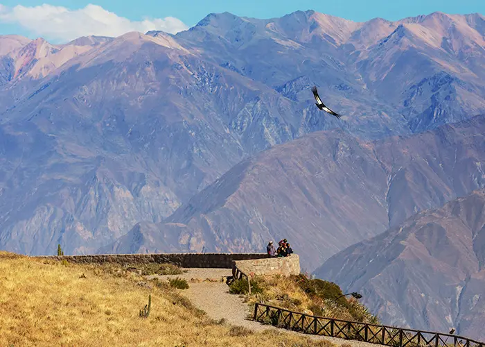 Canyon of Colca Arequipa - 16 days in Peru