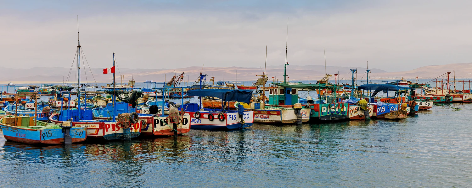 Paracas ballestas islands boat tour​