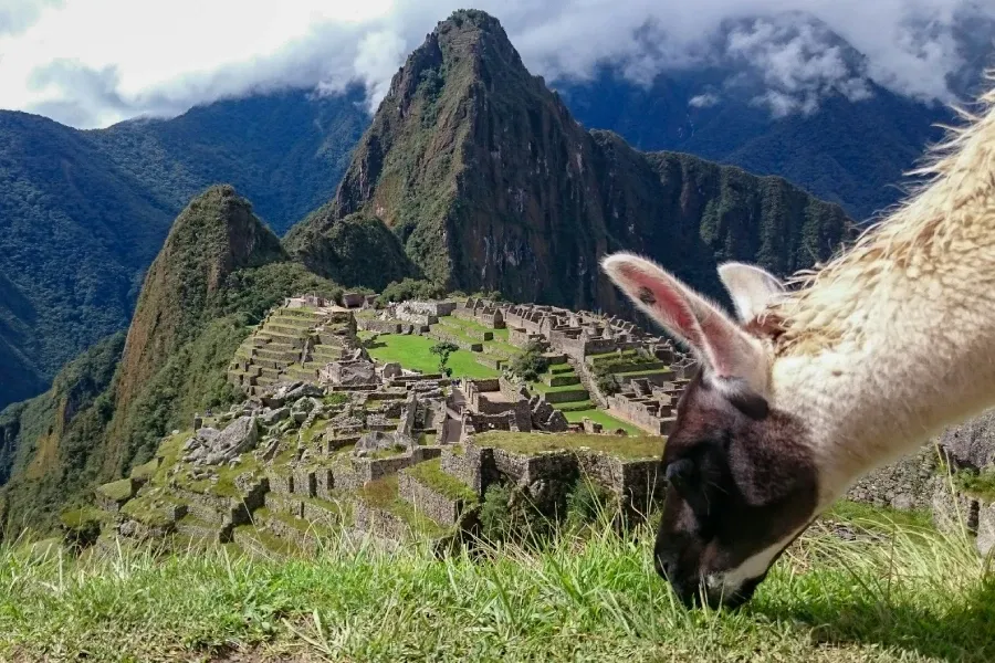 Moderate difficulty at Machu Picchu Moderate difficulty at Machu Picchu
