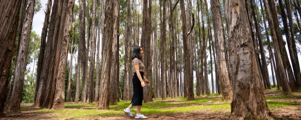 Explore Qenqo with Inca Encounters. Connect with nature in Qenqo.