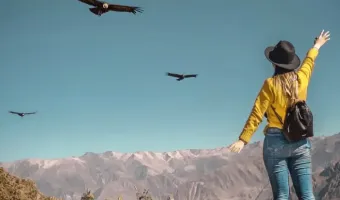 Condor Canyon