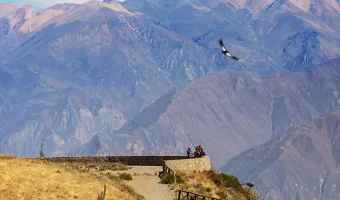 Canyon of Colca Arequipa - 16 days in Peru