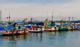 Paracas ballestas islands boat tour​