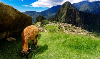 Plan your adventure with Peru Grand Travel to discover the lost citadel of Machu Picchu