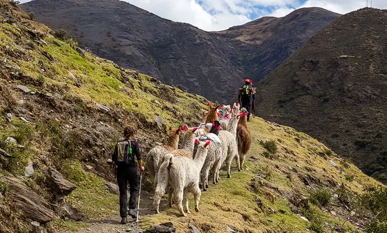 Lares Trek